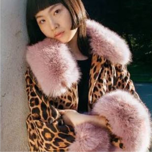 Charlotte Simone Jackets & Blazers - Charlotte Simone Edie Leopard Print Short Coat with Blue Cuffs - XL - NWOT